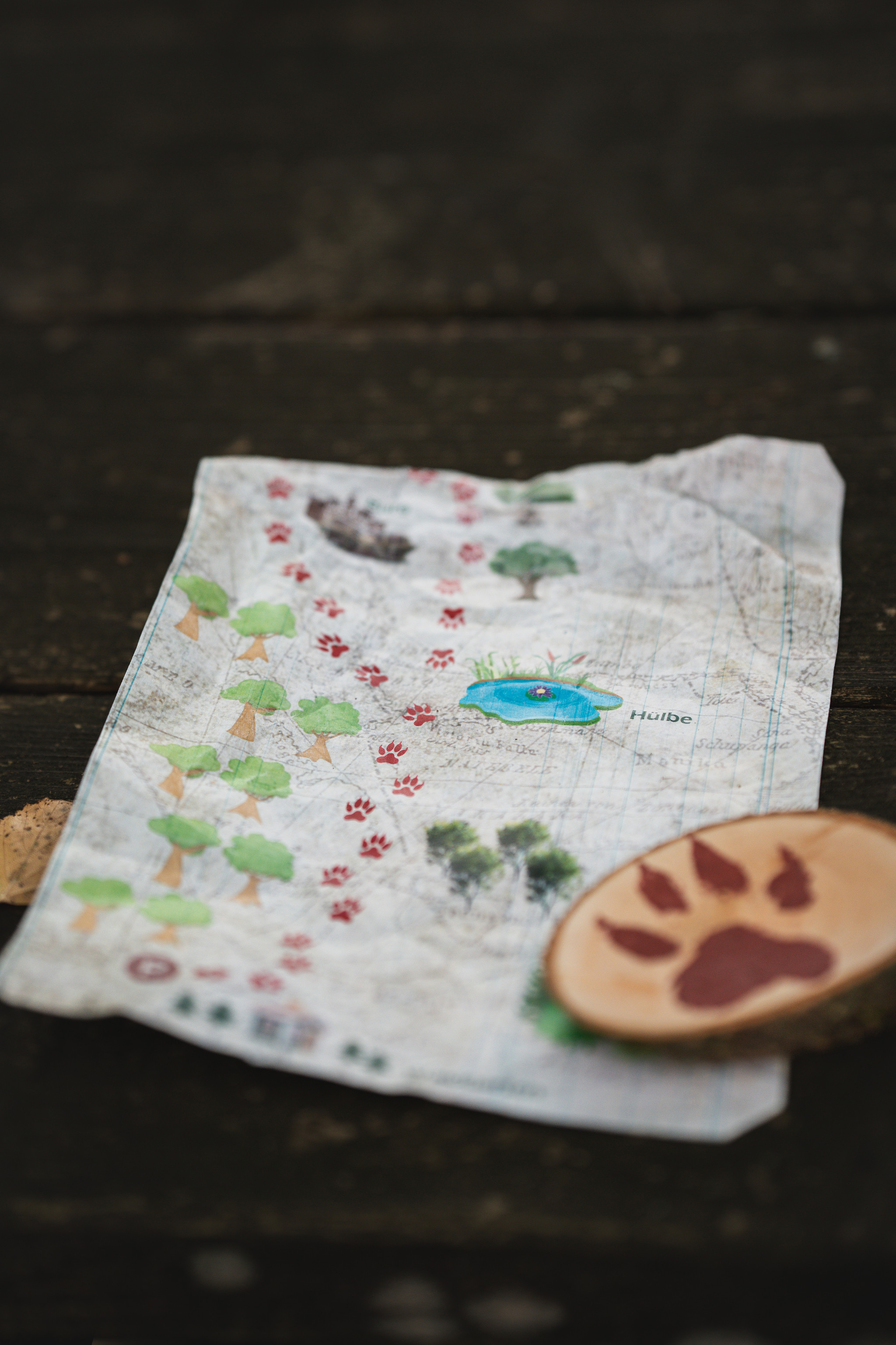 Projekt mit Kindern in der Natur  Projekt mit Kindern in der Natur