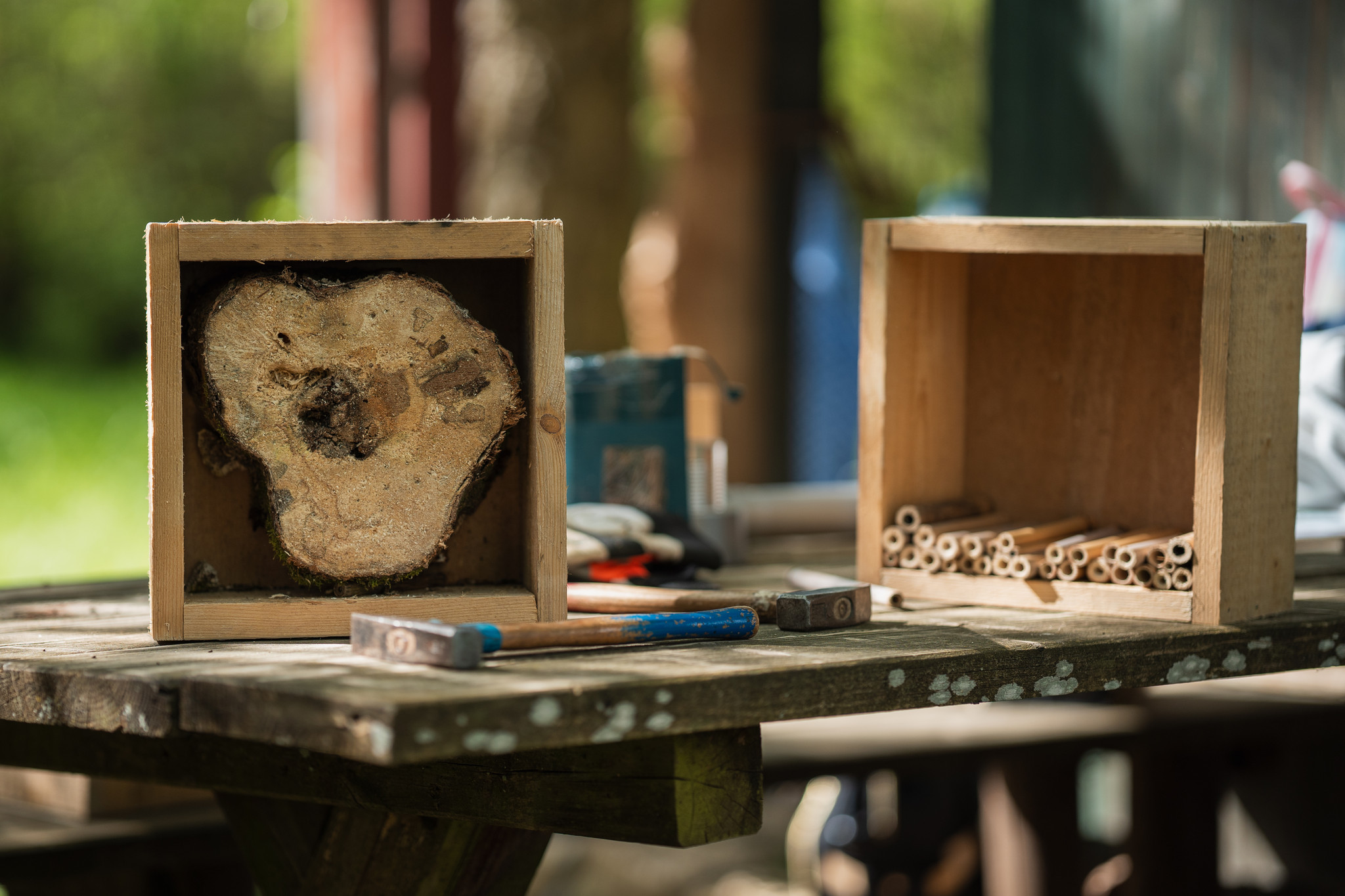 Projekt mit Kindern in der Natur  Projekt mit Kindern in der Natur