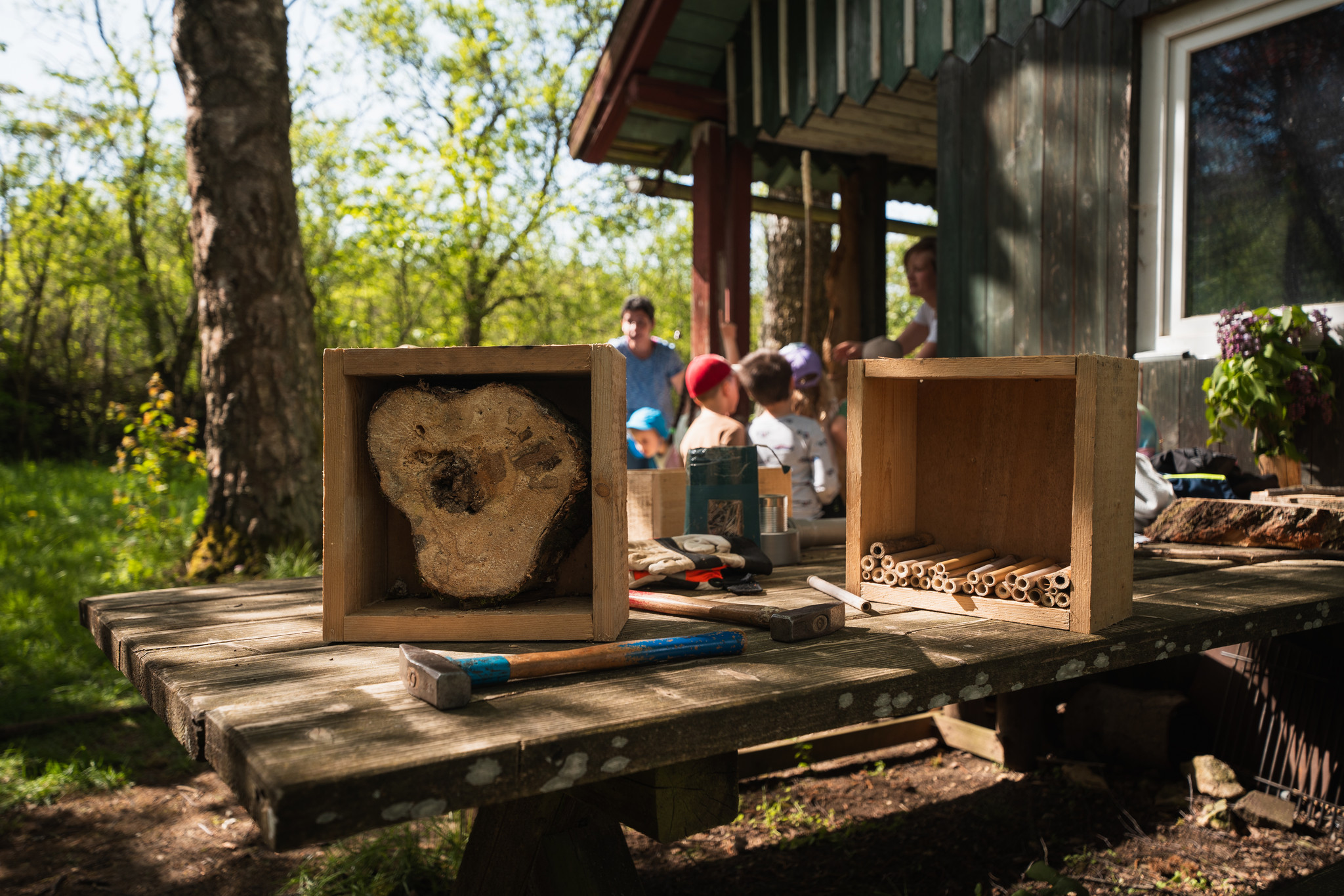 Projekt mit Kindern in der Natur  Projekt mit Kindern in der Natur