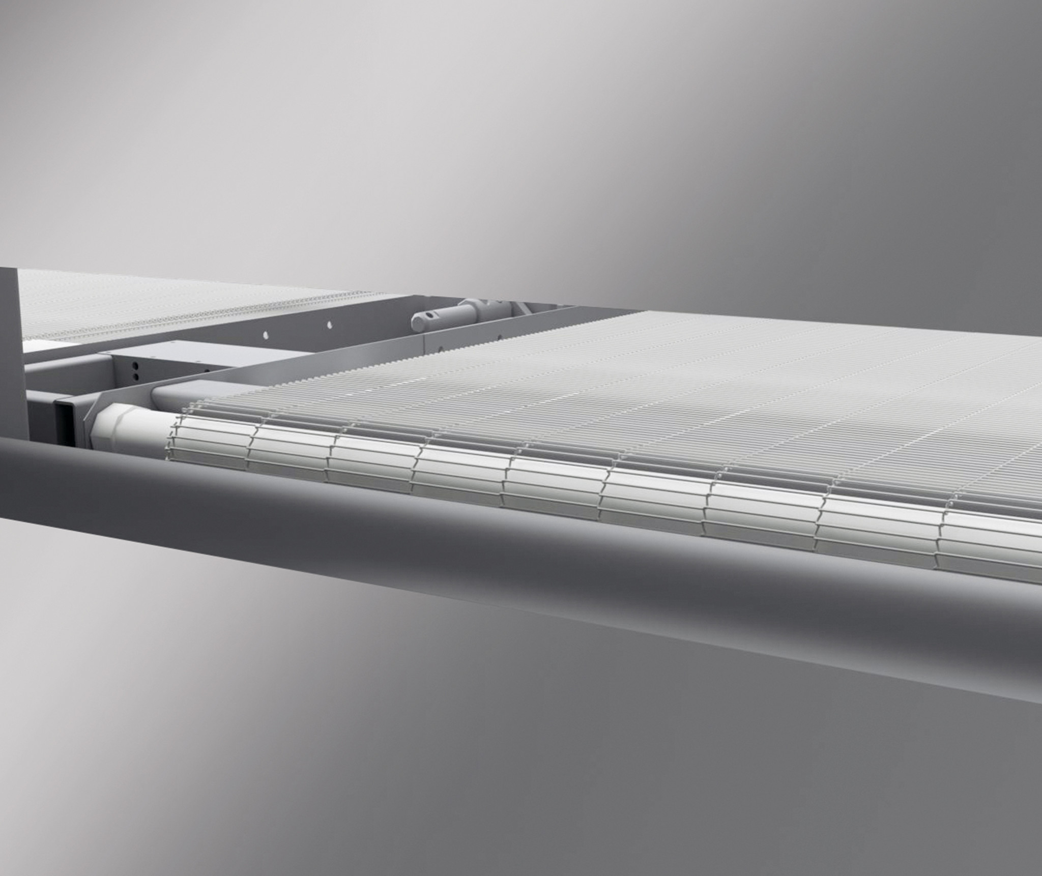 Eco-Froster: View of product supply belt