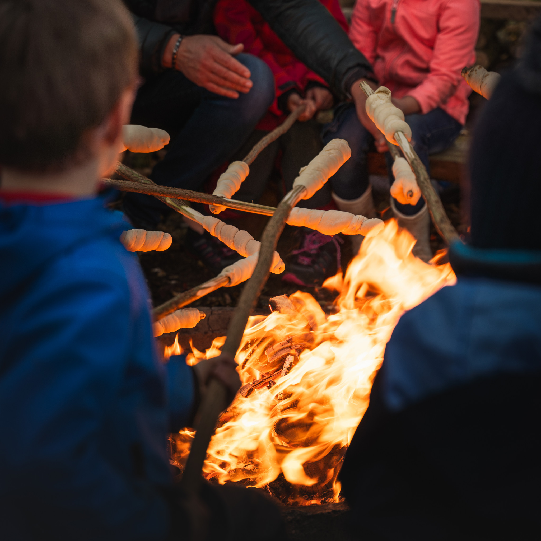 Projekt mit Kindern in der Natur  Projekt mit Kindern in der Natur