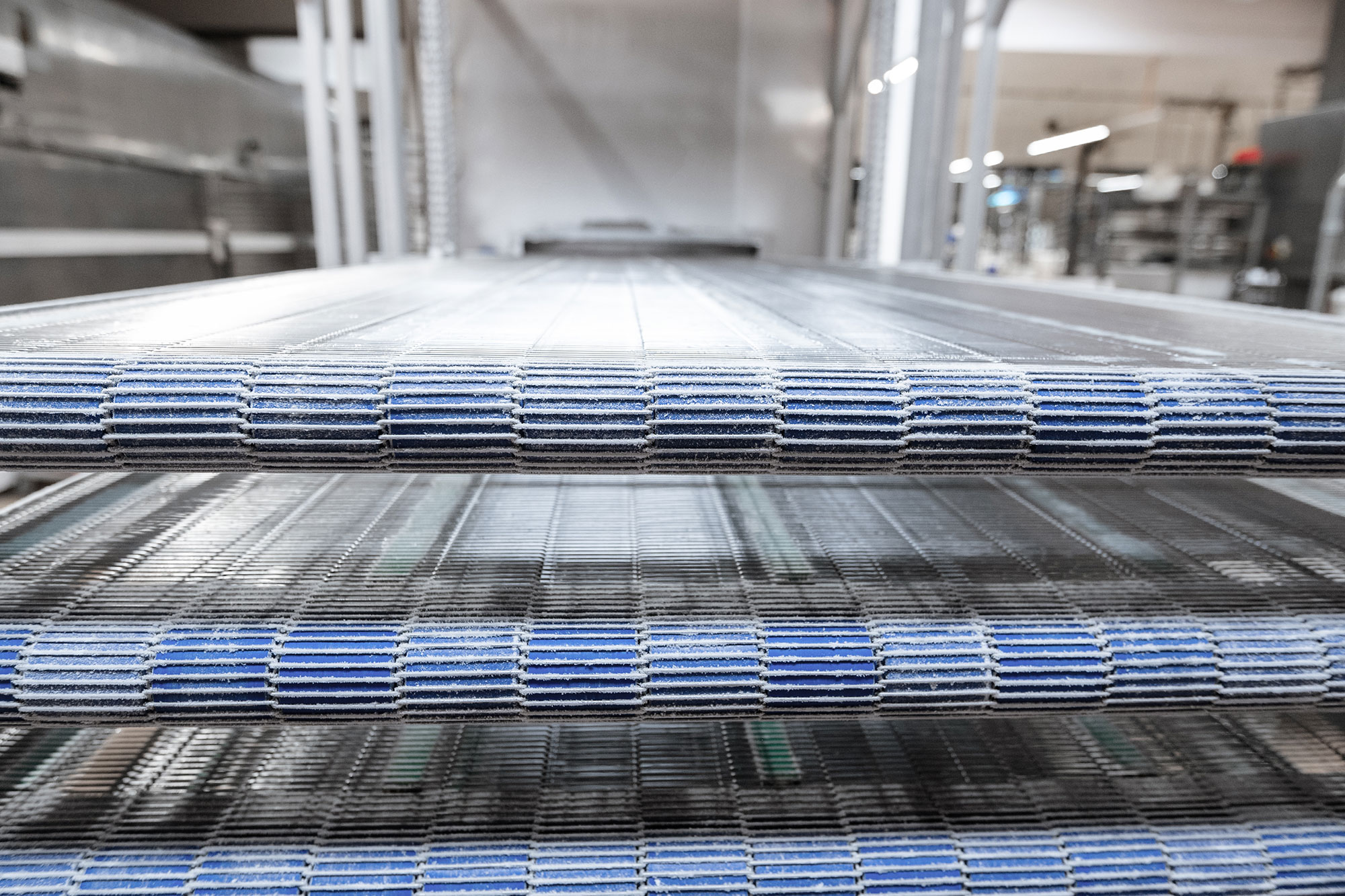 Förderbänder des Paternoster-Systems im Froster Förderbänder des Paternoster-Systems im Froster