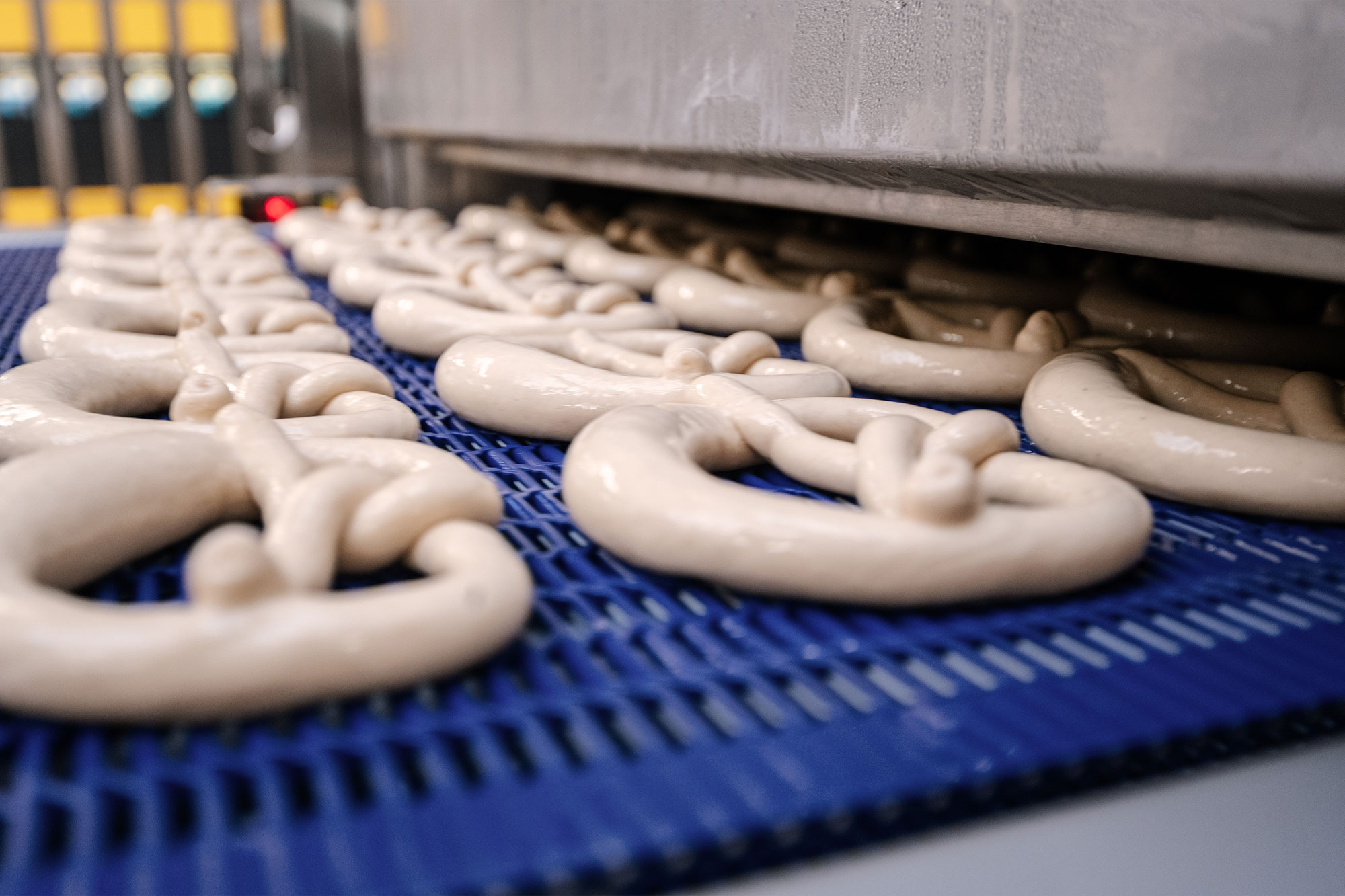 Produkteingabe in den Eco-Froster Produkteingabe in den Eco-Froster