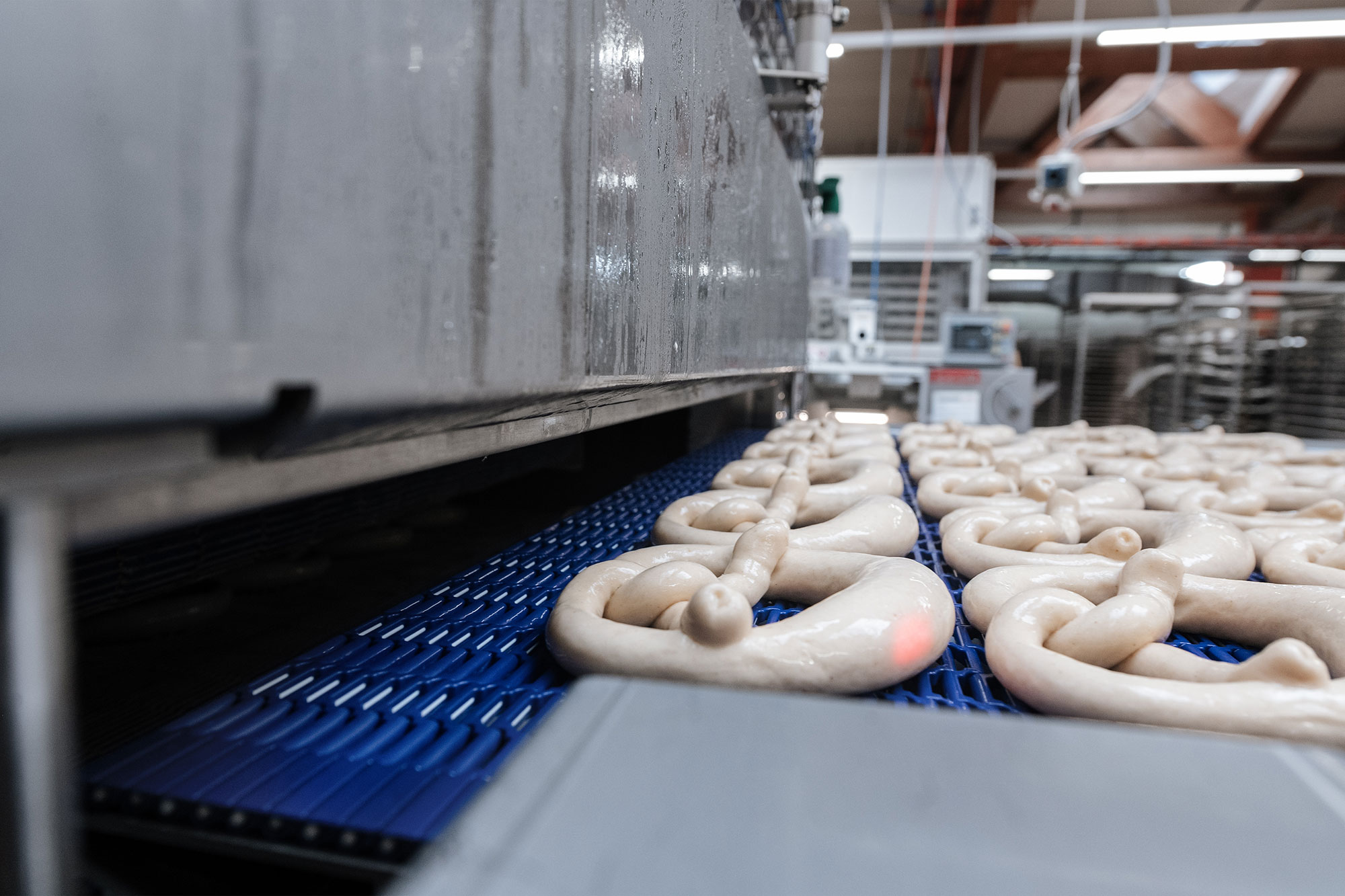 Zur Eingabe öffnet sich die Klappe des Frosters Zur Eingabe öffnet sich die Klappe des Frosters
