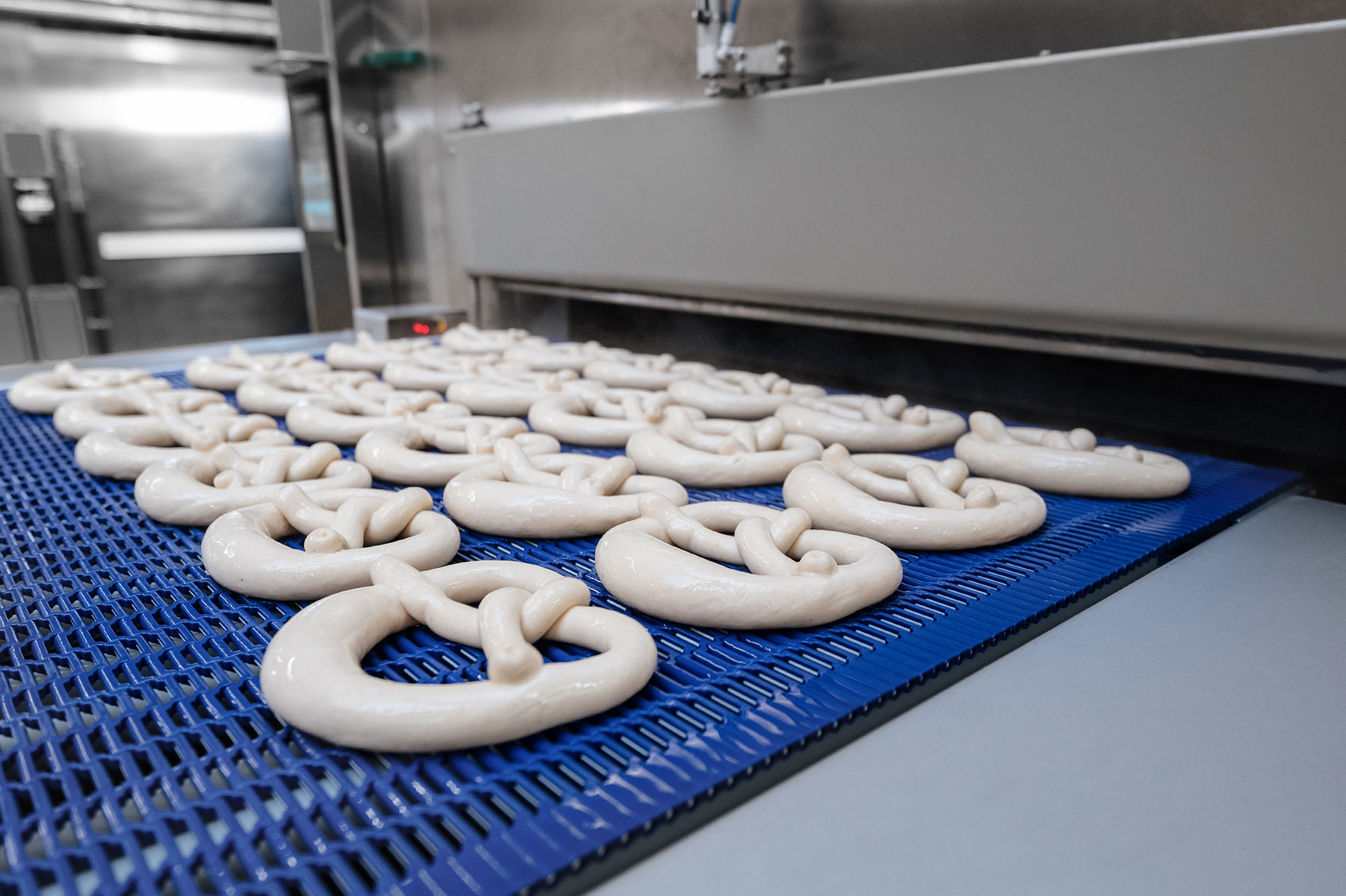 Produkte werden über ein Band in den Froster geführt Produkte werden über ein Band in den Froster geführt