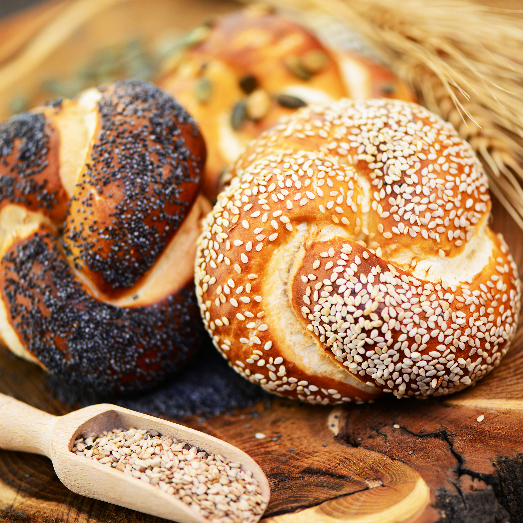 Laugenknoten Bäckerei Laugenknoten Bäckerei