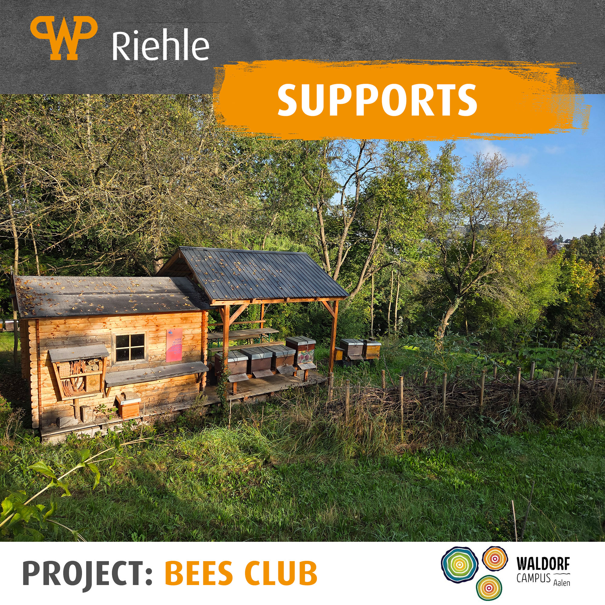 One year bees club at Waldorf school Aalen One year bees club at Waldorf school Aalen