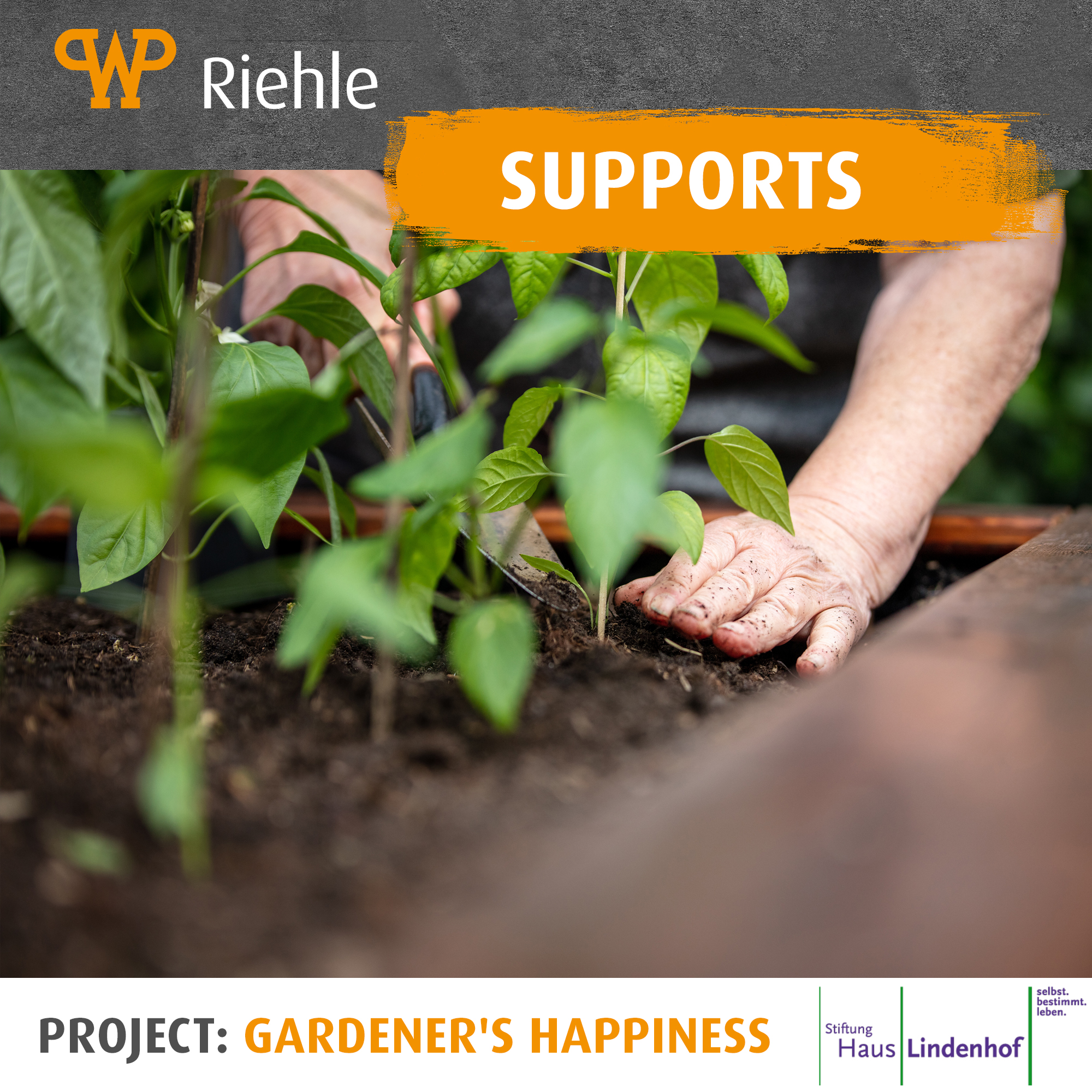 WP Lebensmitteltechnik RIEHLE GmbH supports the project "gardener's happiness" at the Haus Lindenhof Foundation WP Lebensmitteltechnik RIEHLE GmbH supports the project "gardener's happiness" at the Haus Lindenhof Foundation